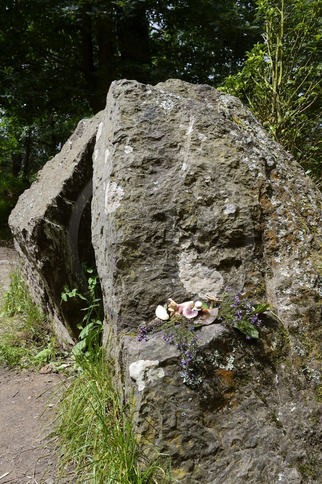 France, Ille-et-Vilaine (35),  forêt de Brocéliande, le tombeau de Merlin sur lequel sont posées quelques offrandes