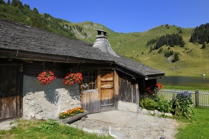 Switzerland, Canton of Vaud, Villars sur Ollon, hamlet of Bretaye