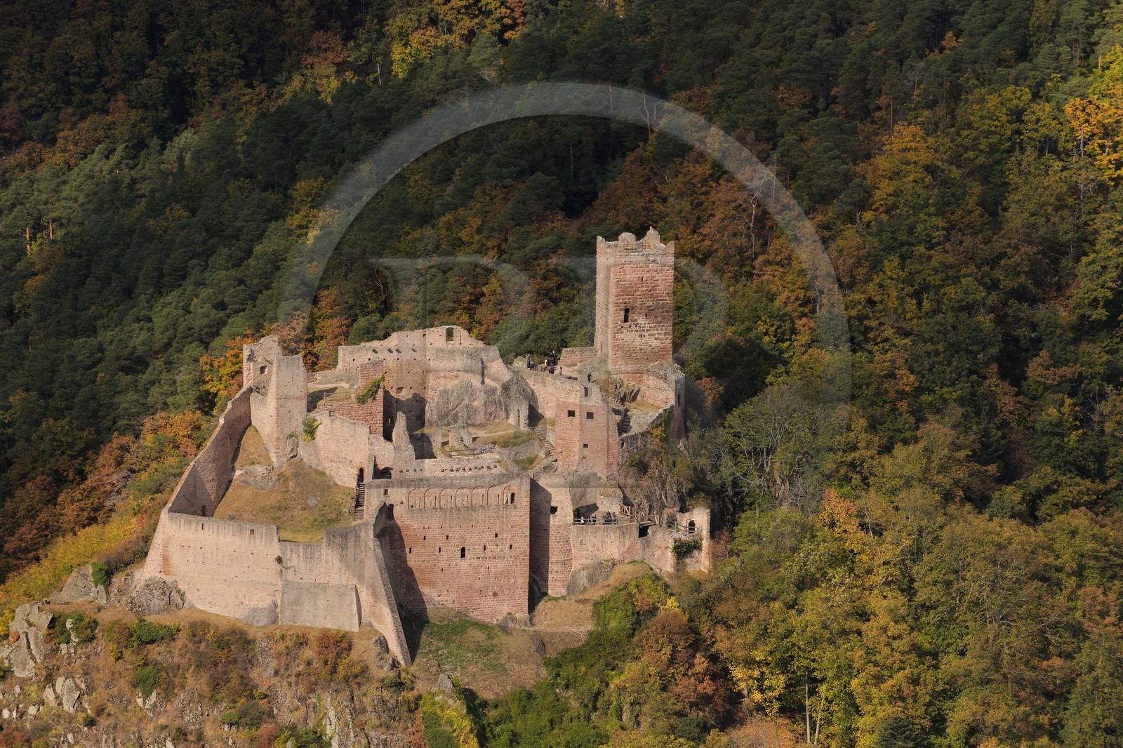 France, Haut Rhin, Ribeauville, Saint-Ulrich Castle (aerial view)