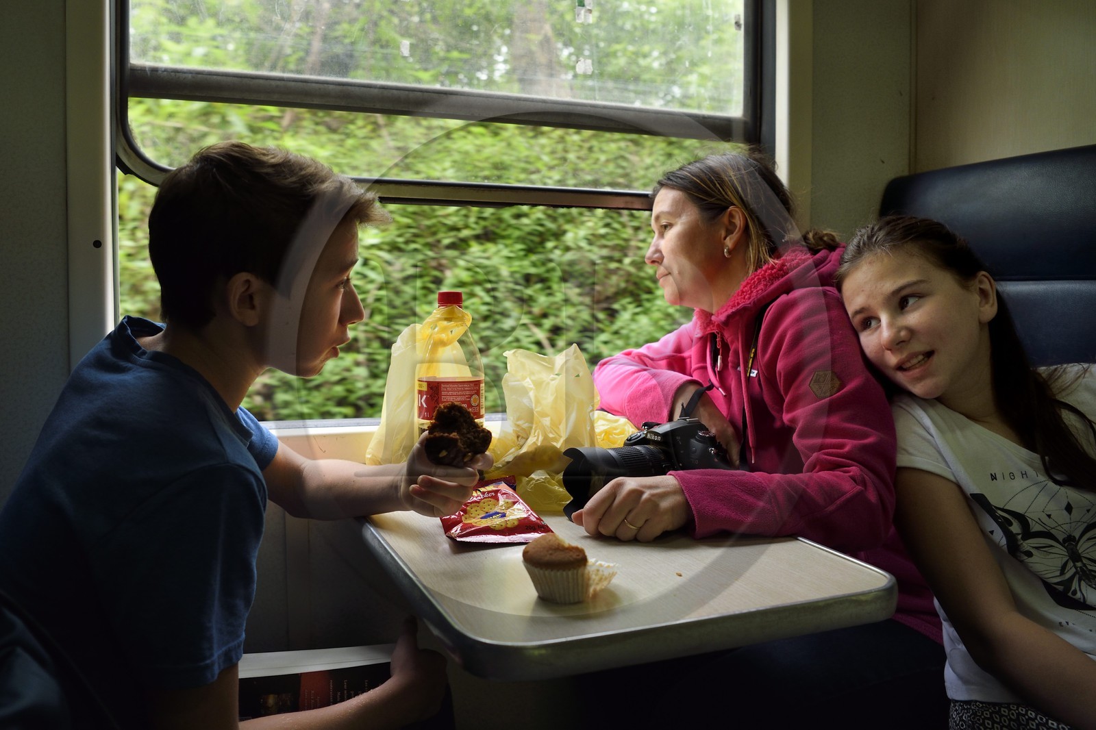 Sri Lanka, Province du Centre, trajet en train dans la région montagneuse de la culture du thé entre Hatton et Ella, vers Perakumpura Sub