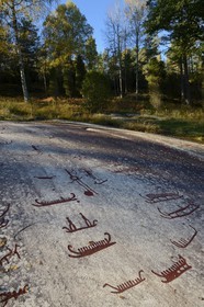 Sweden, Bohuslan County, Tanum Vitlycke rock carvings, listed as World Heritage by UNESCO