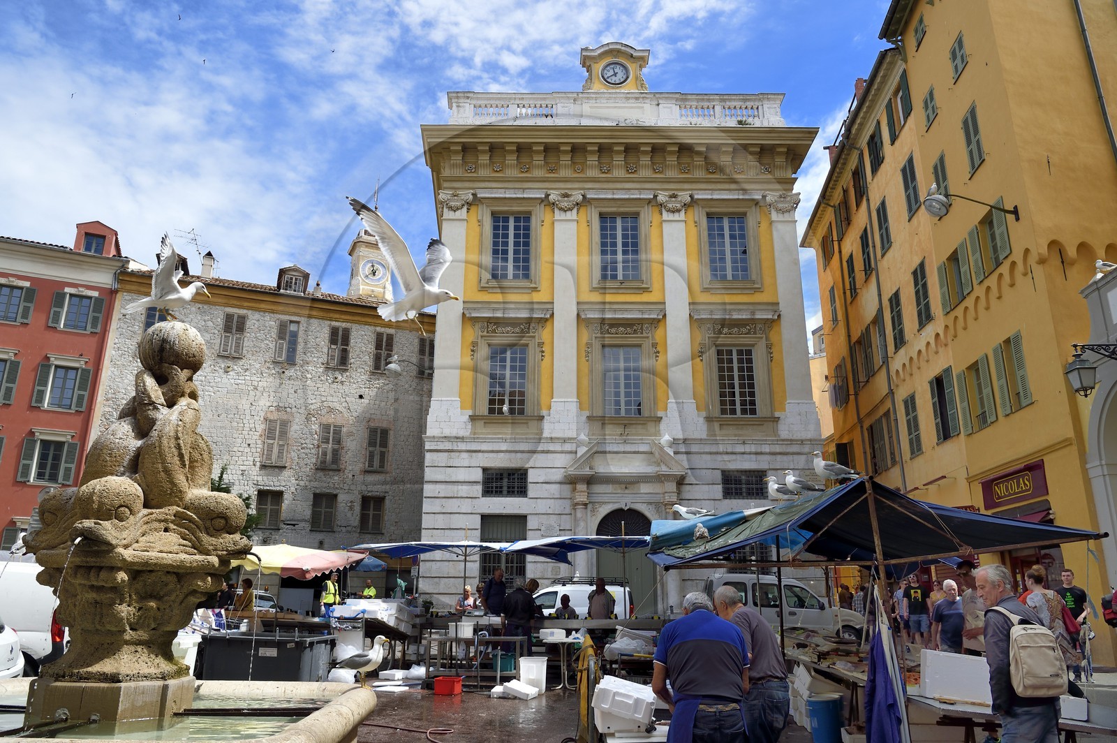 France, Alpes-Maritimes (06), Nice, vieille ville, place Saint-François,  mouettes survolant le marché aux poissons
