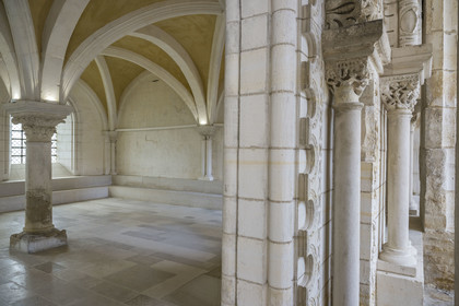 France, Yonne (89), Auxerre, l'abbaye Saint-Germain, Cité de la Parole et du Son, la salle capitulaire du cloitre et son mur du XIIe siècle retrouvé derrière la reconstruction fin XVIIe siècle