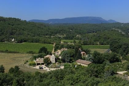 France, Var (83), Provence Verte, Bras, vers Saint-Maximin-la-Sainte-Baume, la maison d'hôtes Le Peyrourier une campagne en Provence