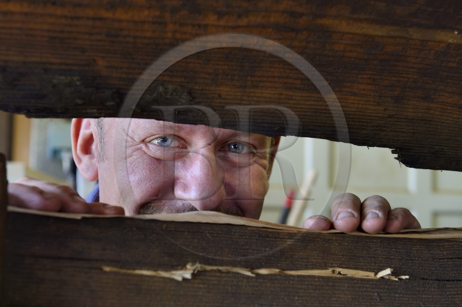 France, Bas Rhin, Muttersholtz, the Ried, the boatman Patrick Unterstock repairing a small flat wooden bottom boat