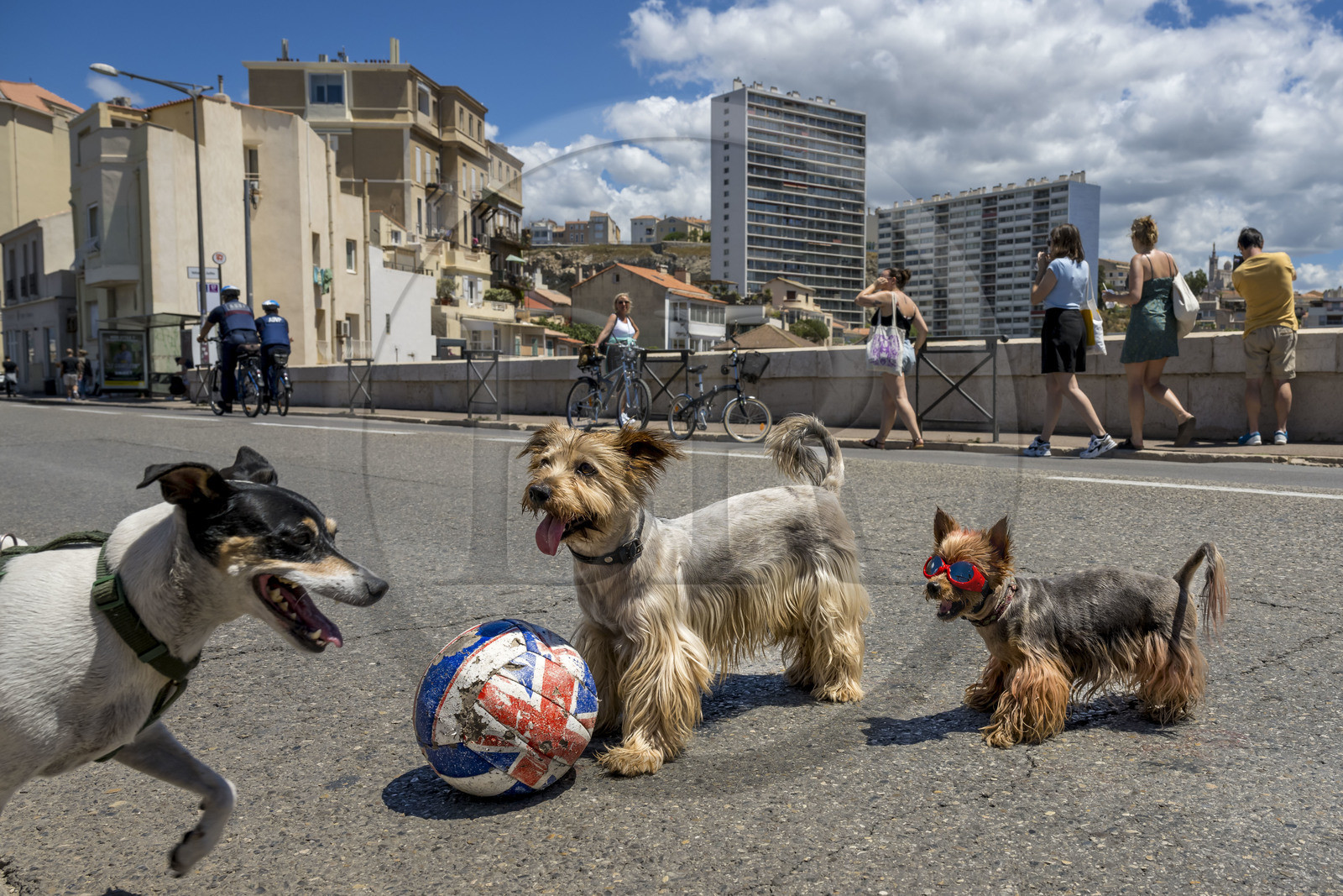 France, Bouches-du-Rhône (13), Marseille, quartier d'Endoume, pont du Vallon des Auffes, la Corniche du Président John Fitzgerald Kennedy piétonne un dimanche par mois au premier plan