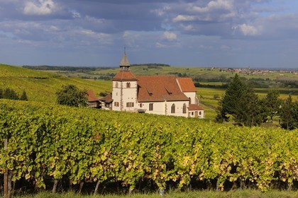 France, Bas Rhin, Dambach-la-ville, Chapel of St. Sebastian in the vineyards