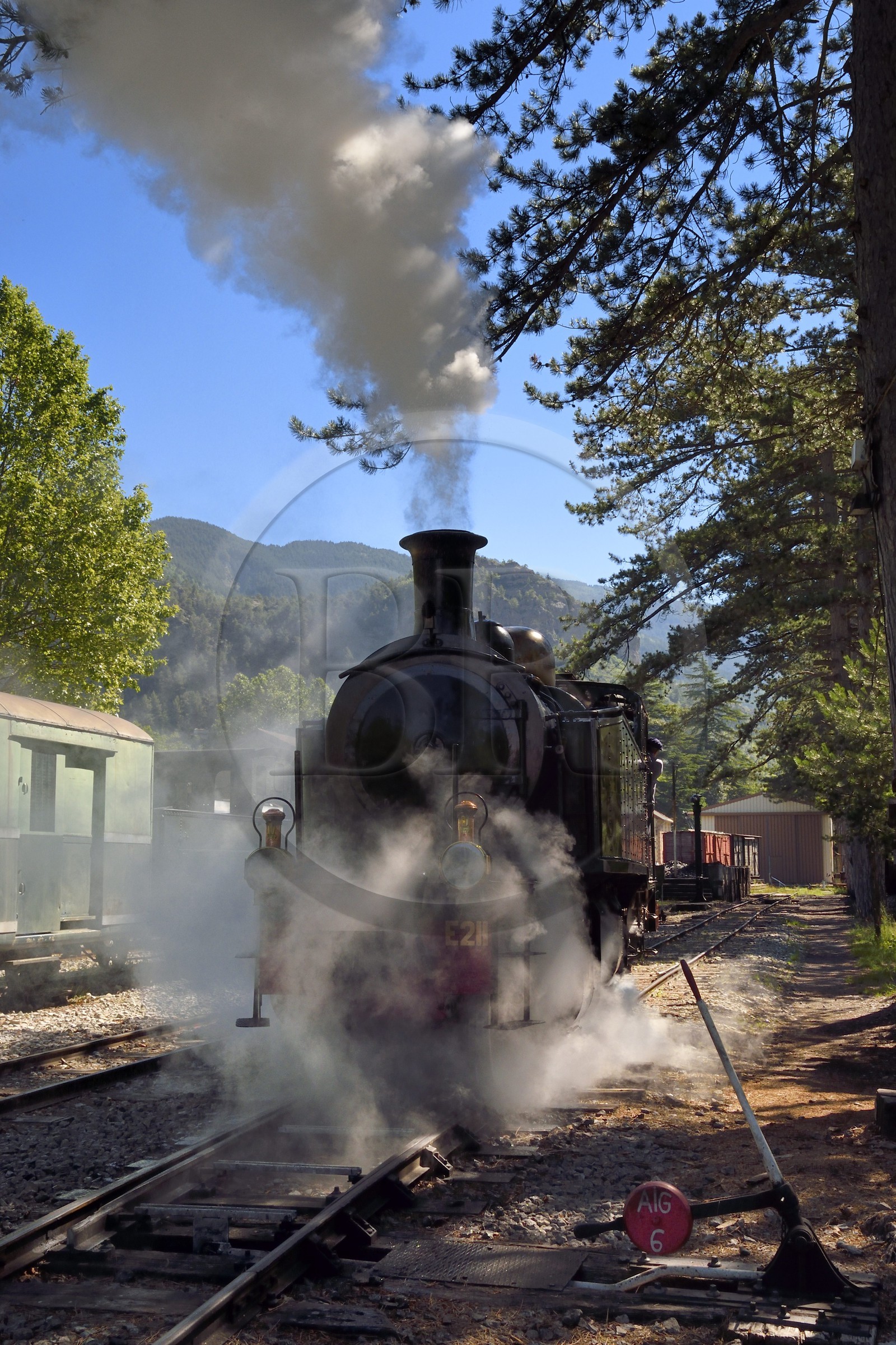 France, Alpes-Maritimes, Puget Theniers, the Train des Pignes historic train enters the station