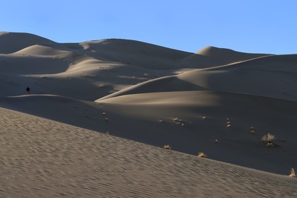 Iran, Province de Yazd, désert du Dasht-e Kavir, Moghestan, randonnée dans le massif dunaire dont la plus haute dune atteint les 200 mètres