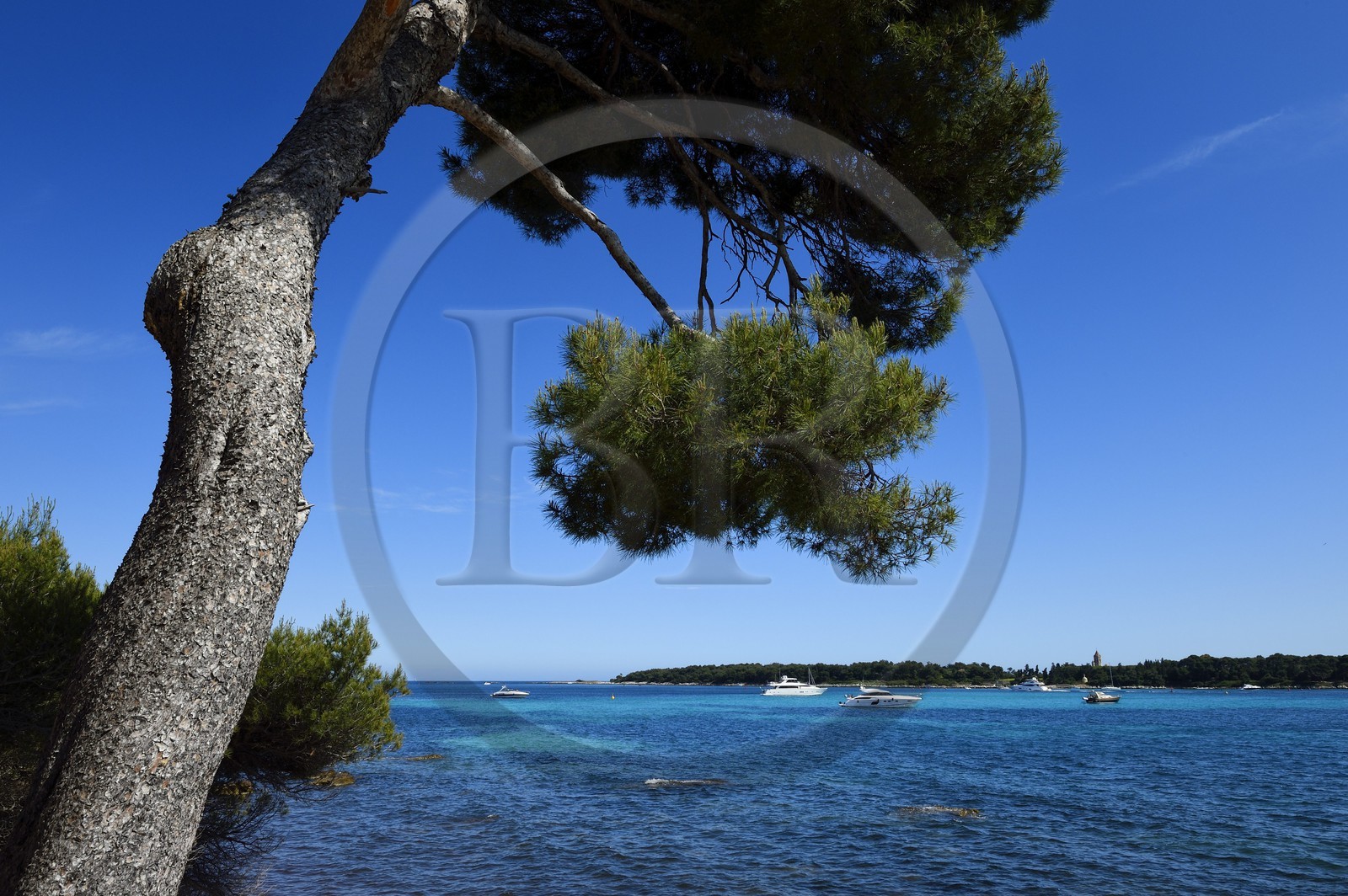 France, Alpes-Maritimes (06), Cannes, Iles de Lérins, Ile Sainte-Marguerite, la côte sud fait face à l'Ile de Saint-Honorat