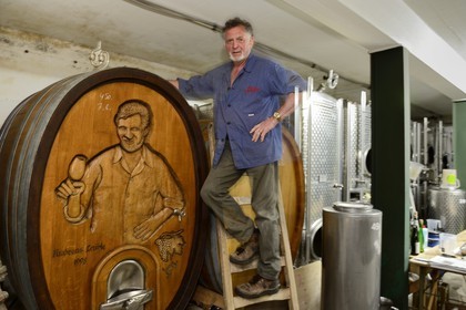 Allemagne, Bade-Wurtemberg, le vignoble à Durbach, l'établissement vinicole Weingut Laible, Andreas Laible