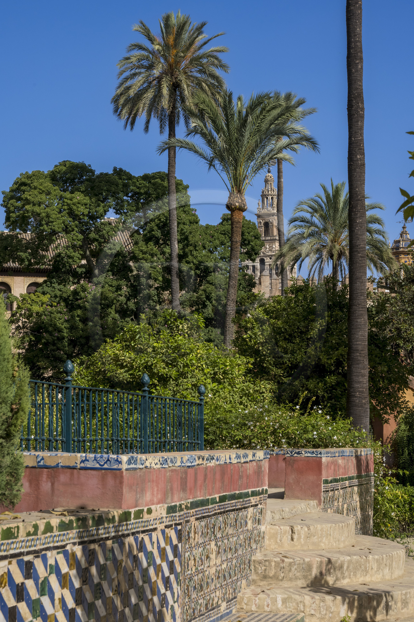 Espagne, Andalousie, Séville, Alcazar de Séville (Reales Alcazares de Sevilla), classé Patrimoine Mondial de l'UNESCO, les jardins et la Giralda en arrière plan