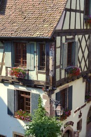 France, Haut-Rhin (68), Riquewihr, labellisé Les Plus Beaux Villages de France, maison à pans de bois