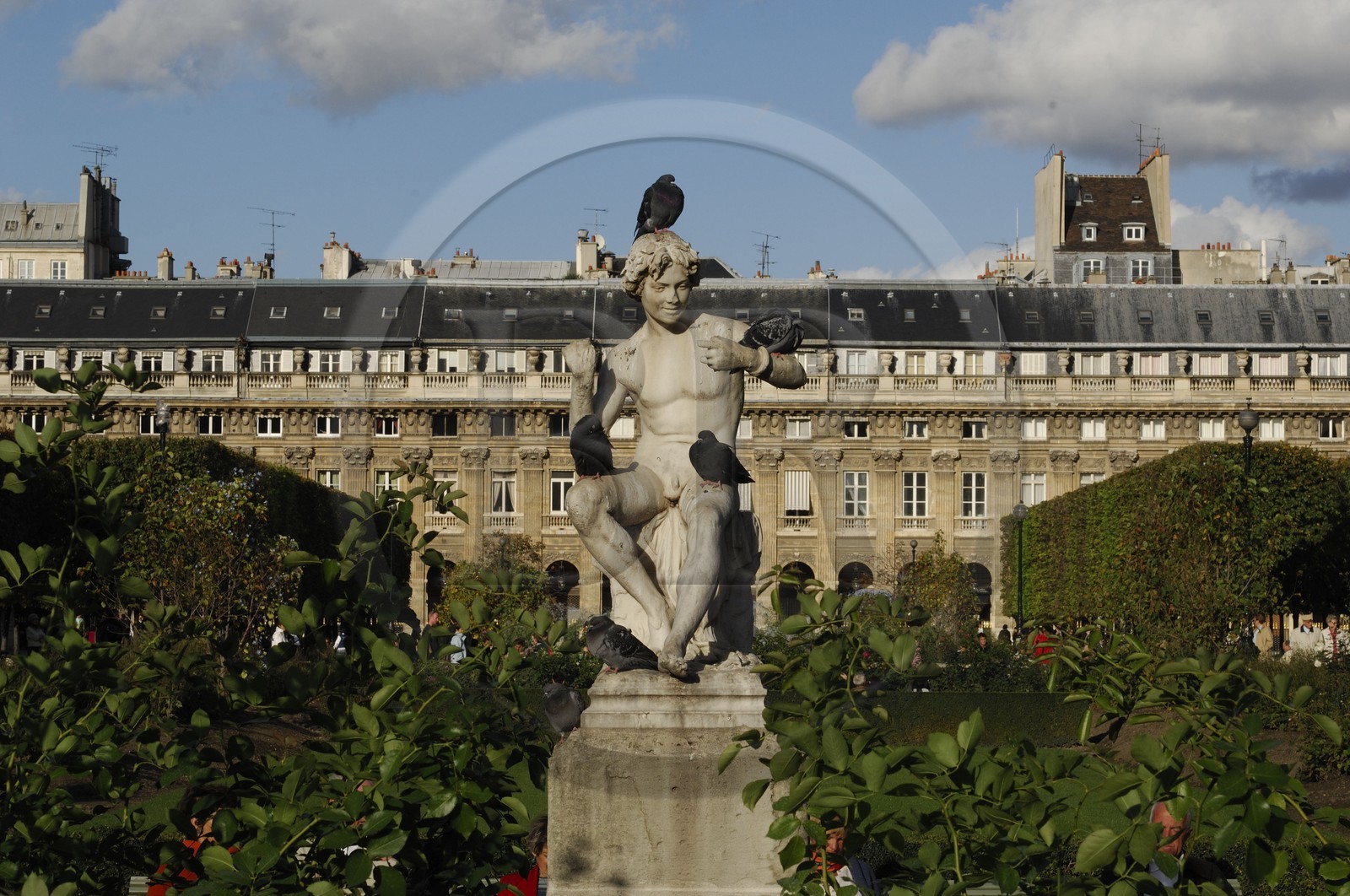 France, Paris (75), le Jardin des Tuileries devant Le Louvre et les immeubles de la rue de Rivoli