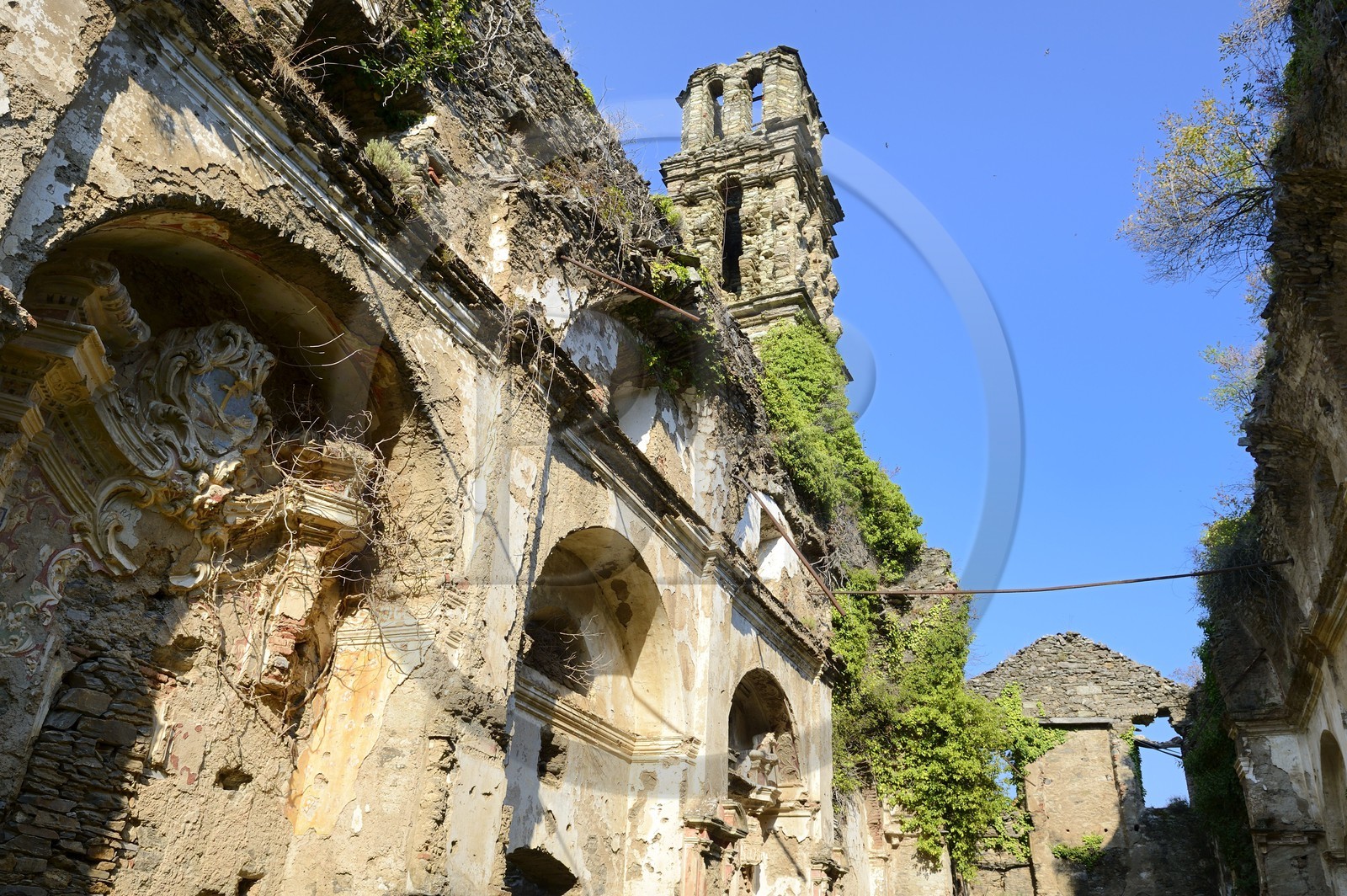 France, Haute-Corse (2B), Castagniccia, Piedicroce, ruines du couvent Saint-François d'Orezza