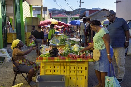 Caraïbes, Ile de la Dominique, la capitale Roseau, vente à l'étal de fruits et légumes aux abords du marché centrale