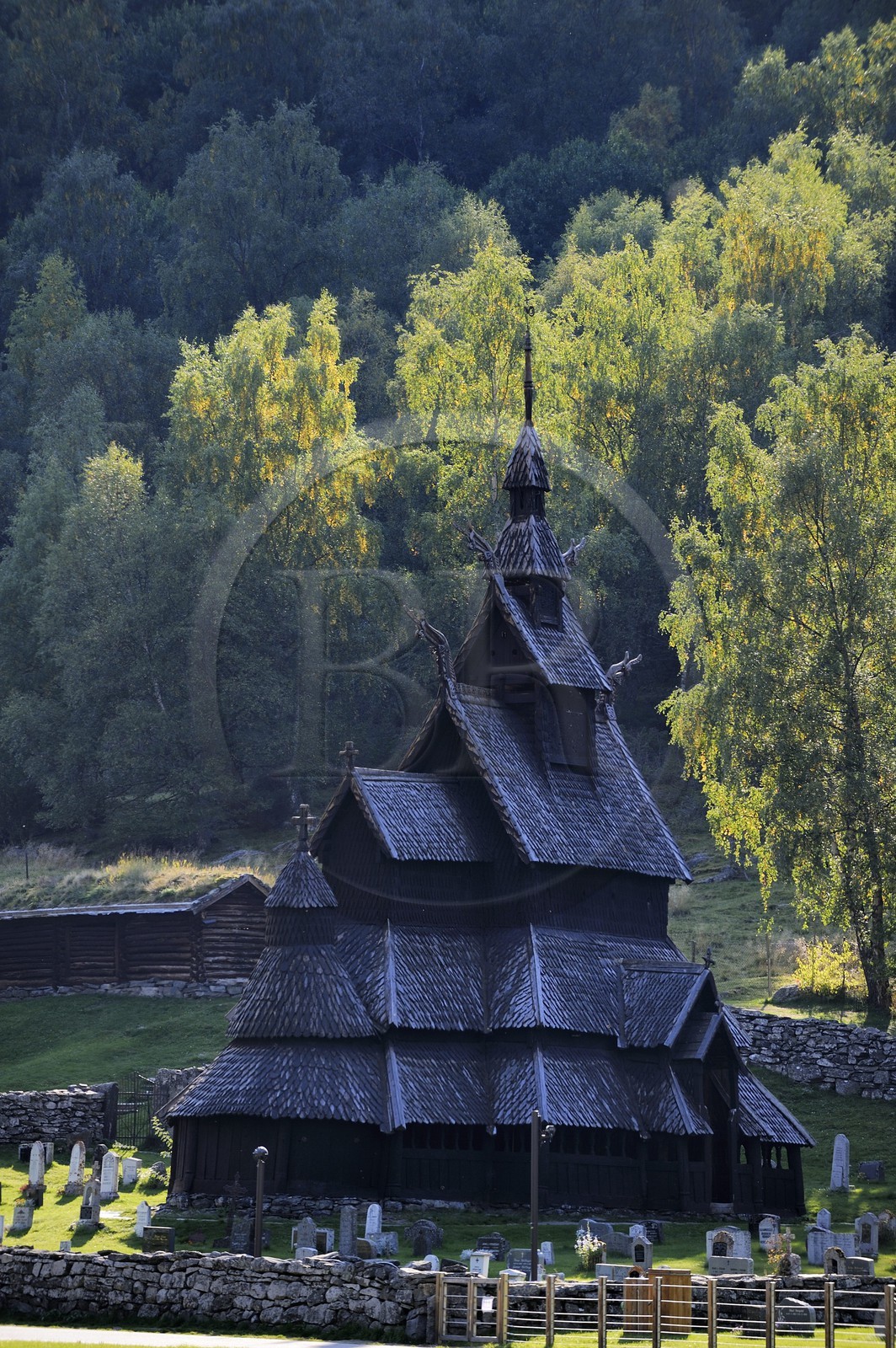 Norvège, comté de Sogn Og Fjordane, église en bois debout ou stavkirke (1130) de Borgund aux motifs vikings de l’ère pré-chrétienne