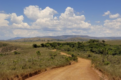 Brazil, Minas Gerais state, Carrancas area south of Sao Joao del Rei, the Gold Route track (Estrada Real)