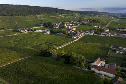 France, Côte-d'Or (21), Paysage culturel des climats de Bourgogne classés Patrimoine Mondial de l'UNESCO, Route des Grands Crus, vignoble de la Côte de Nuits à Gevrey-Chambertin (vue aérienne)