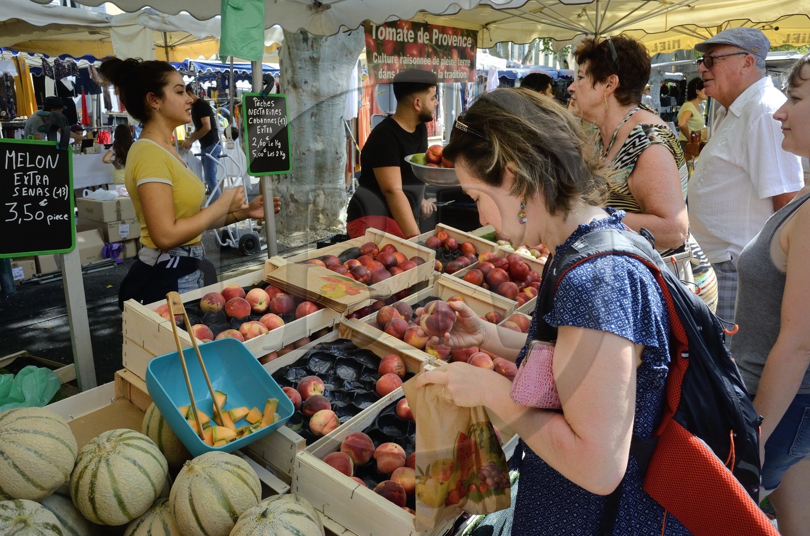 France, Var (83), Provence Verte, Cotignac, le marché sur la place principale, étal de melon