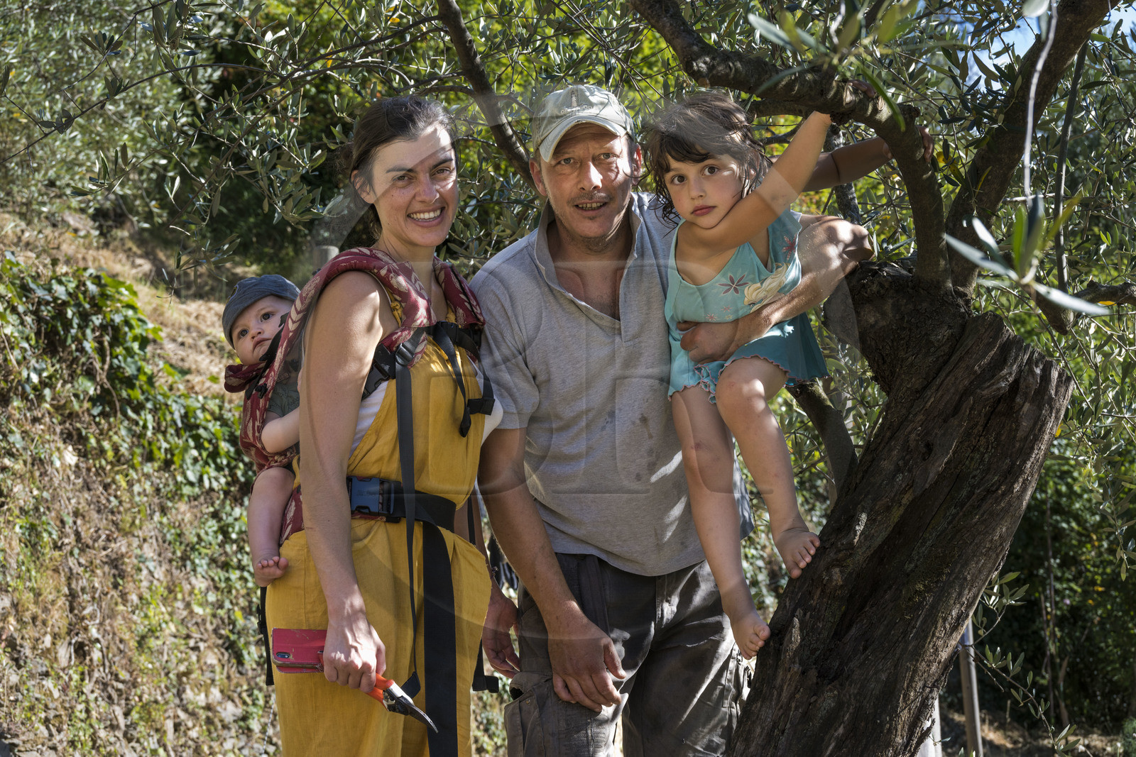 Italy, Liguria, Cinque Terre National Park listed as World Heritage by UNESCO, village of Monterosso al Mare, Farm the Brucaolivo, Leonardo and Costanza Lari with their children
