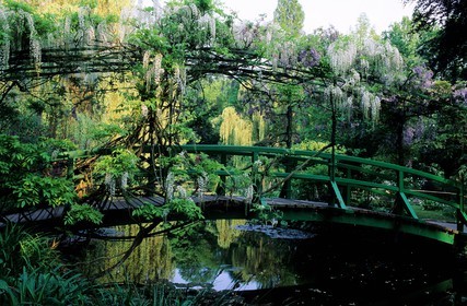 France, Eure, Giverny, Claude Monet Foundation garden, the Japonese garden