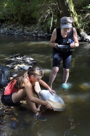 France, Dordogne (24), région de Jumilhac-le-Grand, orpaillage dans la rivière l'Isle vers Tindeix