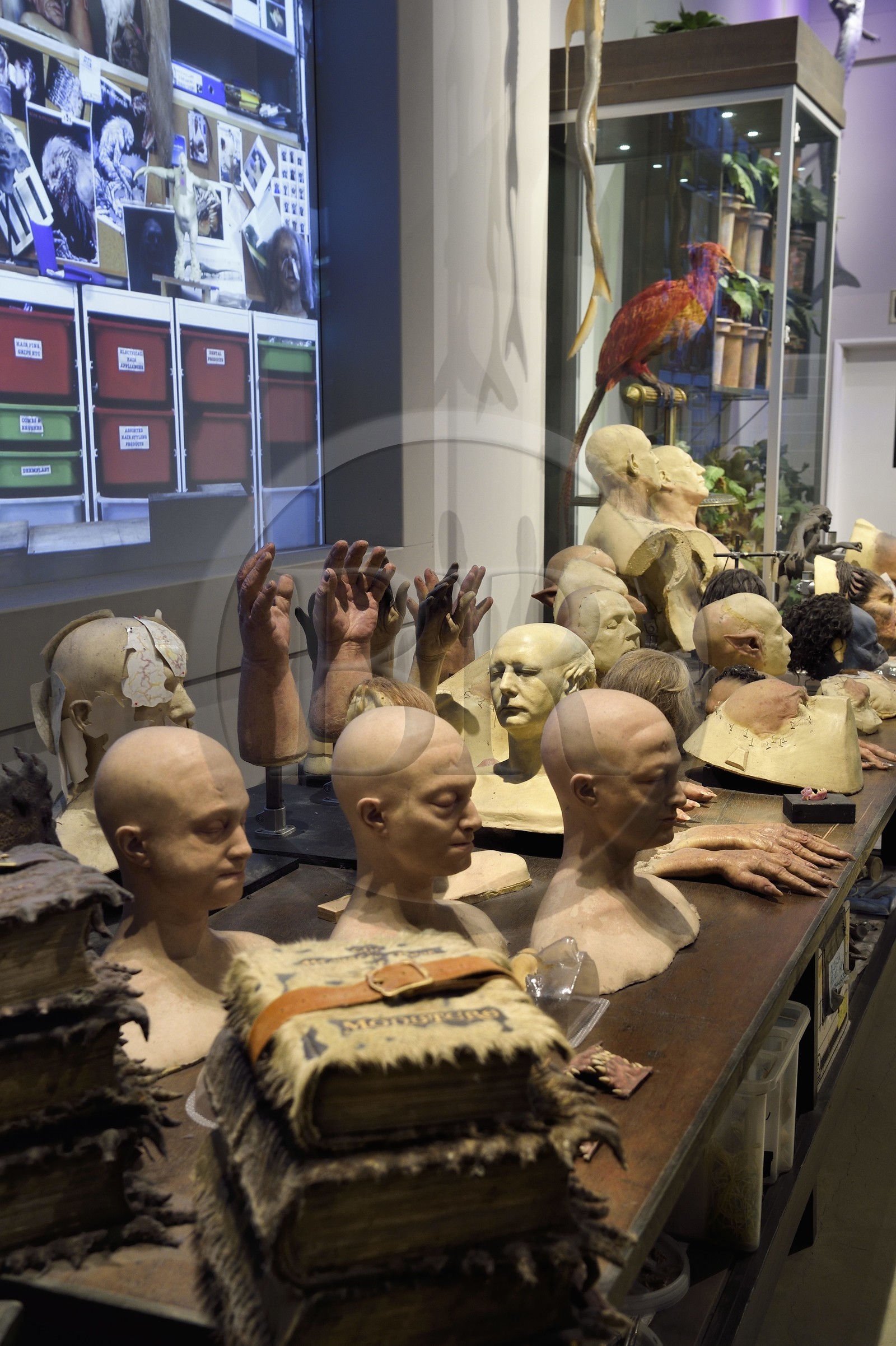 Royaume-Uni, Hertfordshire, Leavesden, Leavesden Film Studios, Harry Potter Studio Tour London, les coulisses du tournage des 8 films de Harry Potter, fabrication des créatures et d'effets spéciaux