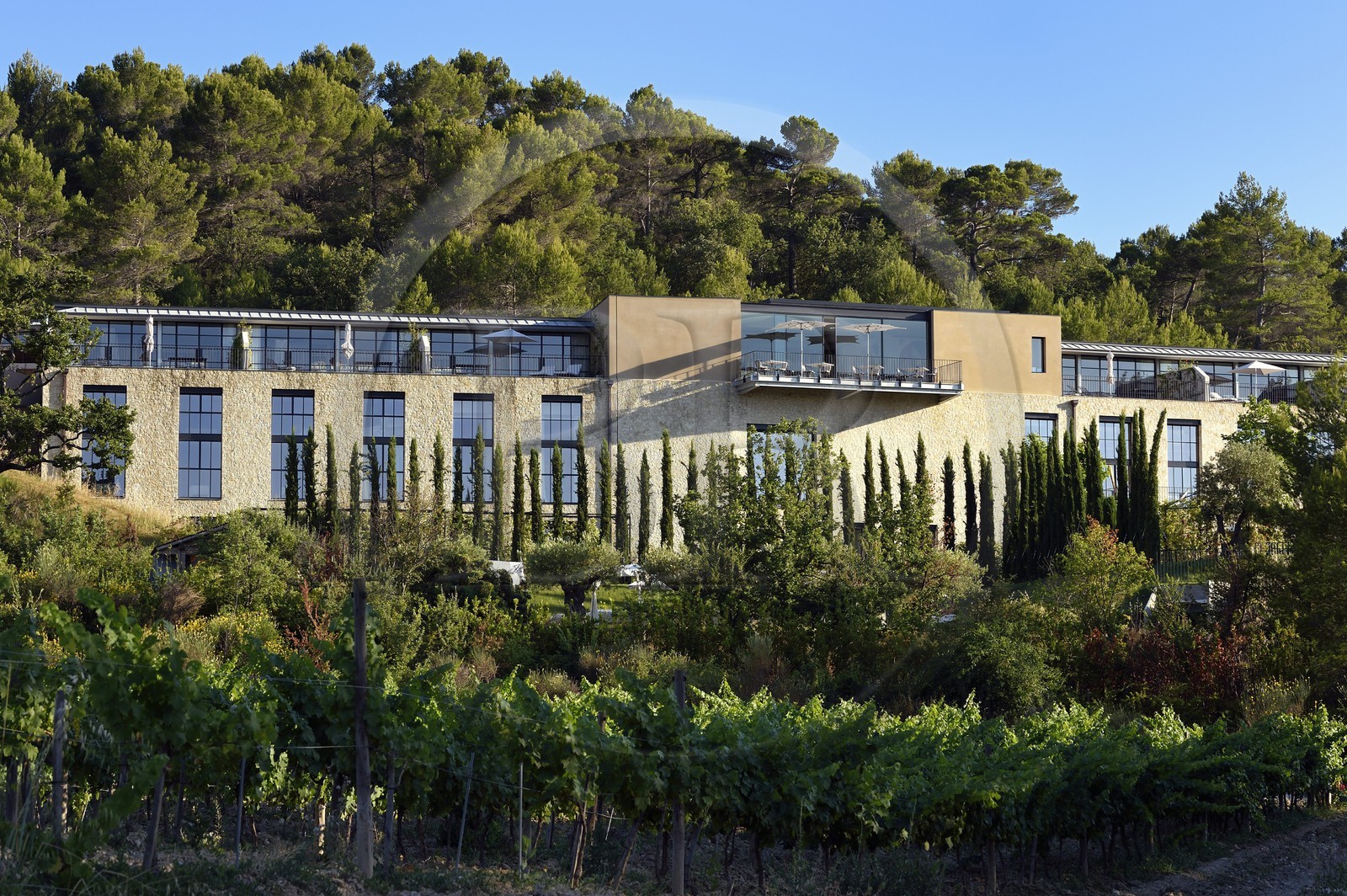 France, Bouches-du-Rhône (13),  Le Puy Sainte Réparade, Chateau La Coste domaine viticole et centre d'art contemporain, l'hotel de luxe Villa La Coste