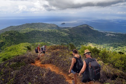 France, Ile de Mayotte, Grande-Terre, Réserve Forestière des Cretes du Sud, randonneurs redescendant du sommet du Mont Choungui (594 mètres)