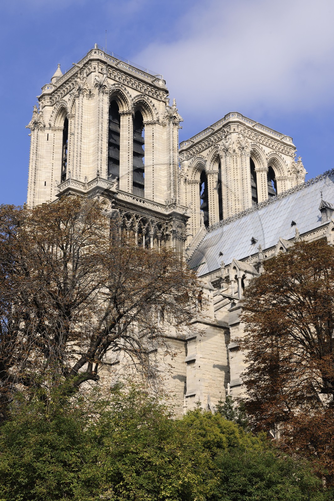 France, Paris (75), Ile de la Cité, cathédrale Notre-Dame de Paris