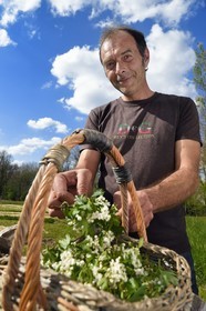 France, Charente (16), Chazelles, jardin botanique Ma Nouvelle Vie, son créateur Marc Buergo avec une récolte d'aubépines monogynes (Crataegus monogyna)