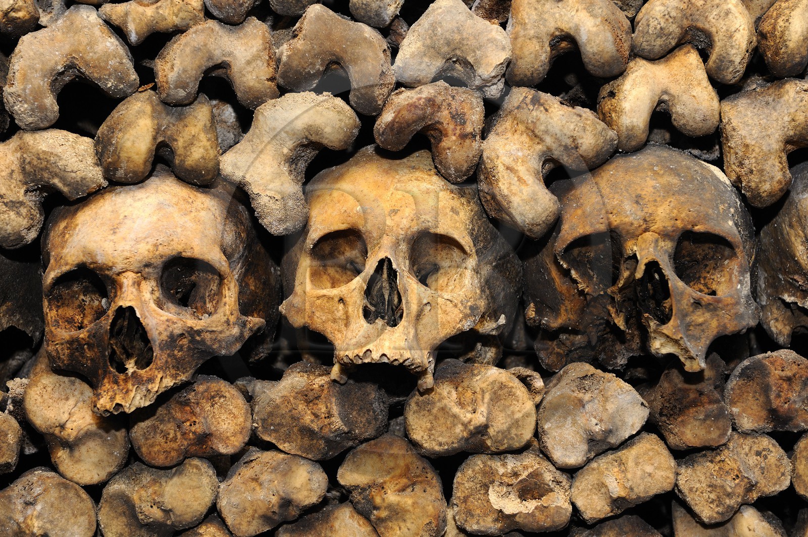 France, Paris (75), les catacombes, ossements