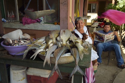 Nicaragua, Leon, marché du quartier de Sutiaba, la vendeuse éloigne les mouches de ses poissons