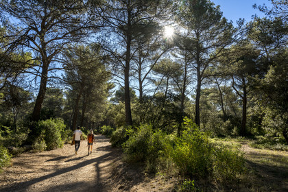 France, Bouches-du-Rhône (13), Aix en Provence, randonneurs sur le plateau de Bibemus