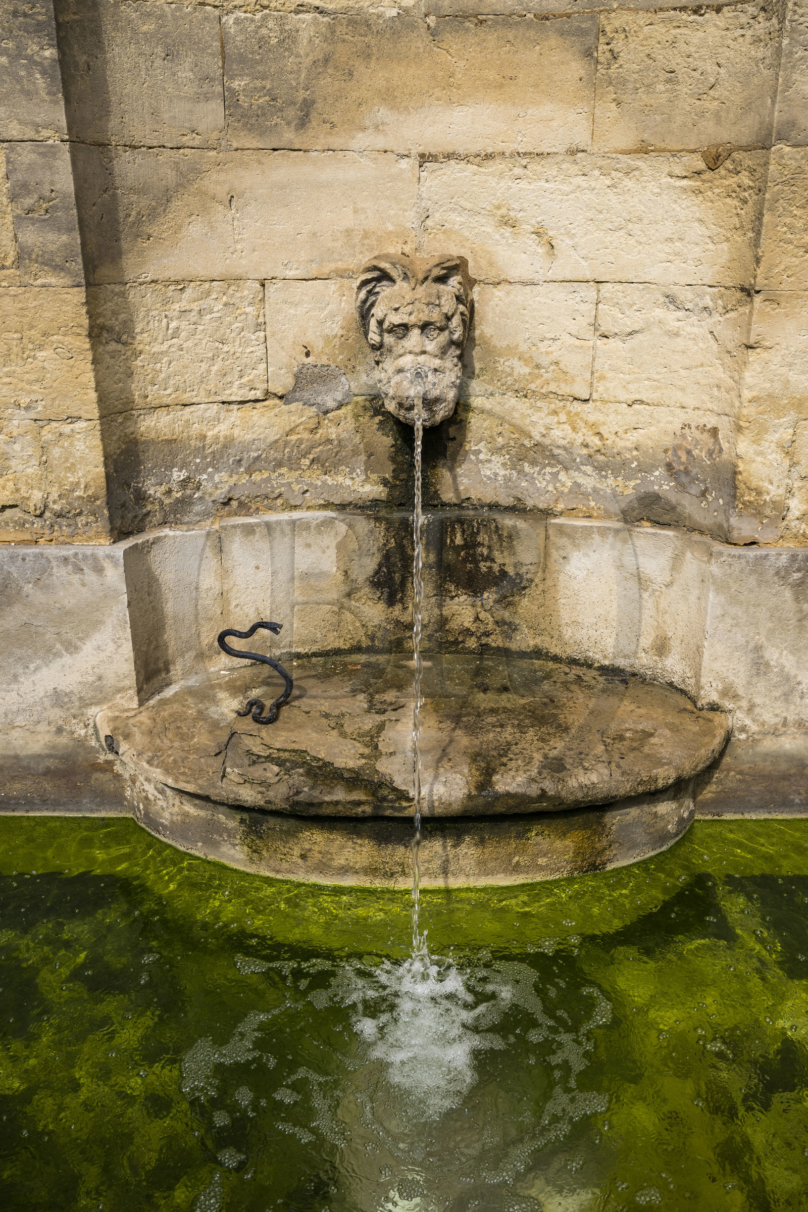 France, Herault, Montpellier, historic center called the Ecusson, The Hotel Haguenot, private mansion called Montpellier Folie from the second half of the 18th century, the fountain