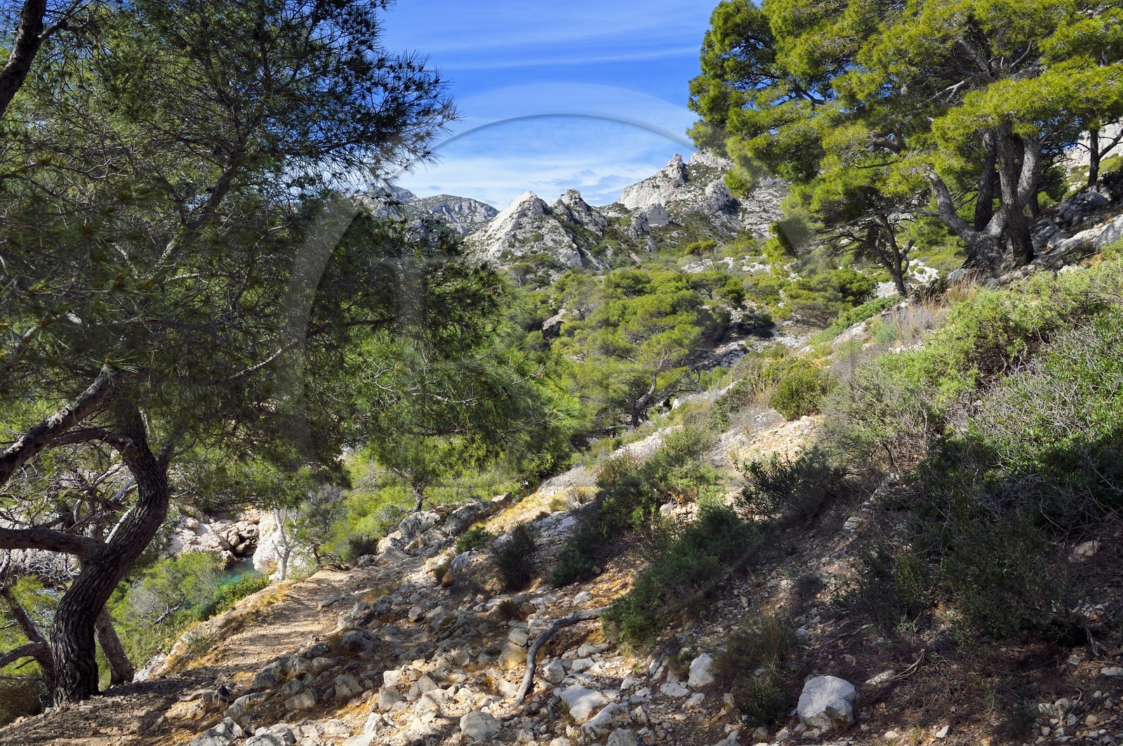 France, Bouches-du-Rhône (13), Marseille, Parc national des Calanques, Calanque de Sormiou