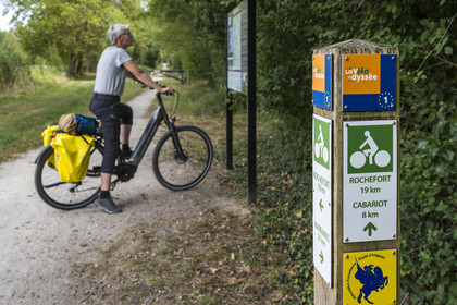 France, Charente Maritime, Echillais, cyclist on the Vélodyssée cycle route