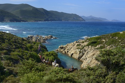 France, Haute-Corse (2B), Nebbio, désert des Agriates, Anse de Peraiola, cavaliers à l'Est de la plage d'Ostriconi