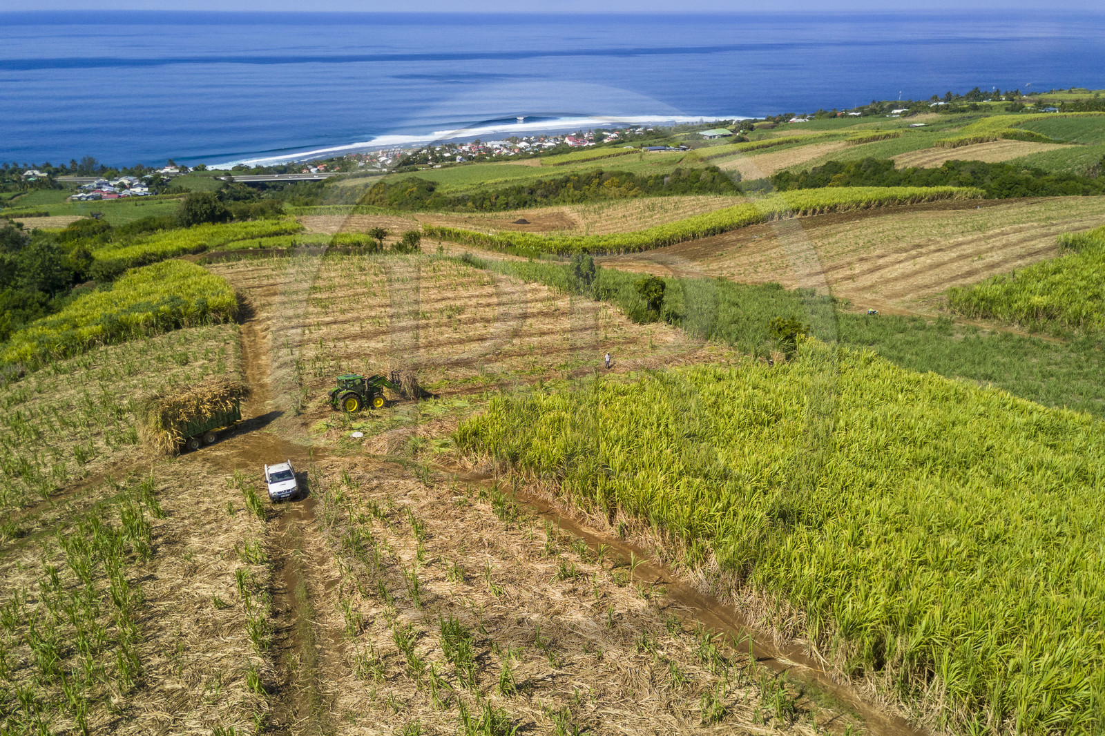 France, Ile de la Reunion, Petite-Ile, coupe et r