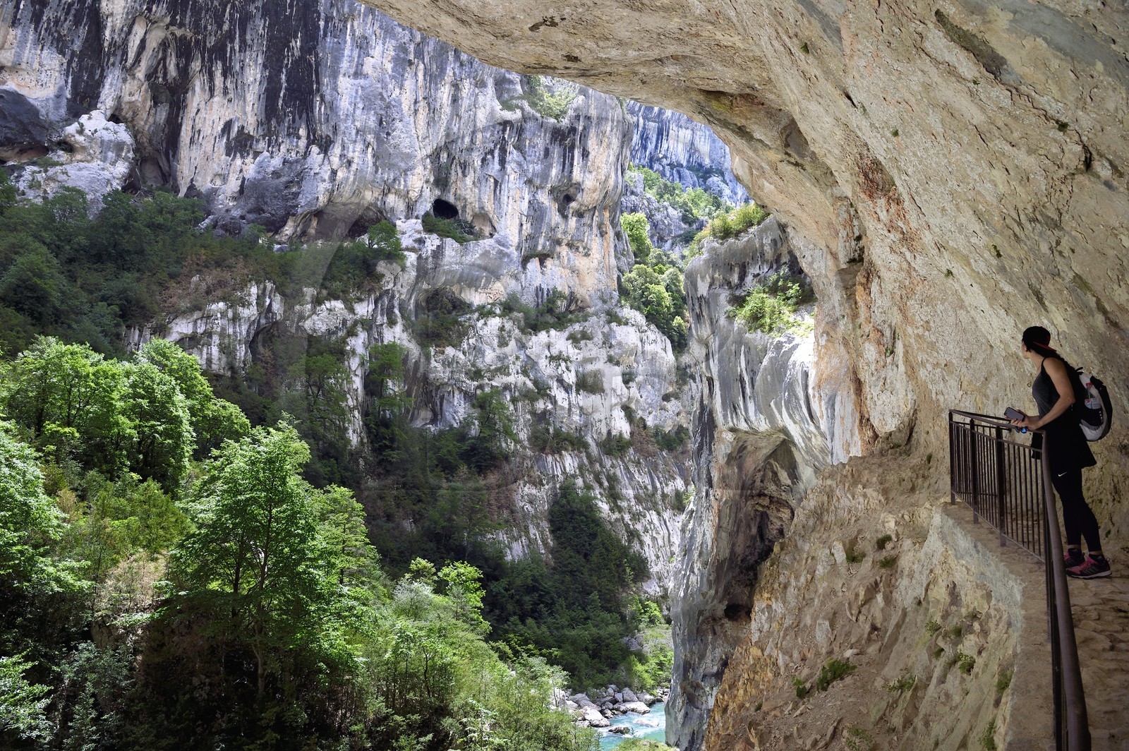 France, Alpes de Haute Provence, Parc Naturel Régional du Verdon, Rougon, Grand Canyon of Verdon in the corridor Samson, seen from the trail sentier Blanc-Martel on the GR4