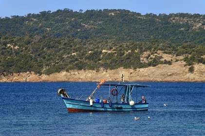 France, Var (83), Iles d'Hyères, Parc national de Port Cros, Ile du Levant, domaine naturiste d'Héliopolis, retour au port du bateau de pêche de Christophe et Brigitte Chevallier, seuls pêcheurs professionnels d'Héliopolis
