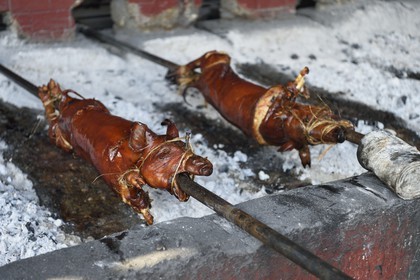 Philippines, Ile de Luzon, Manille, quartier La Loma, cochon de lait roti à la broche (lechon)