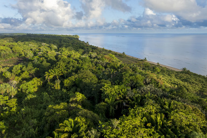 France, Guyane, Kourou, zones humides, forêts et savanes protégées dans l'enceinte du centre spatial et gérées par l'Office National des Forêts (ONF), elle est bordée au Nord-Est par la plage de Kourou (vue aérienne)