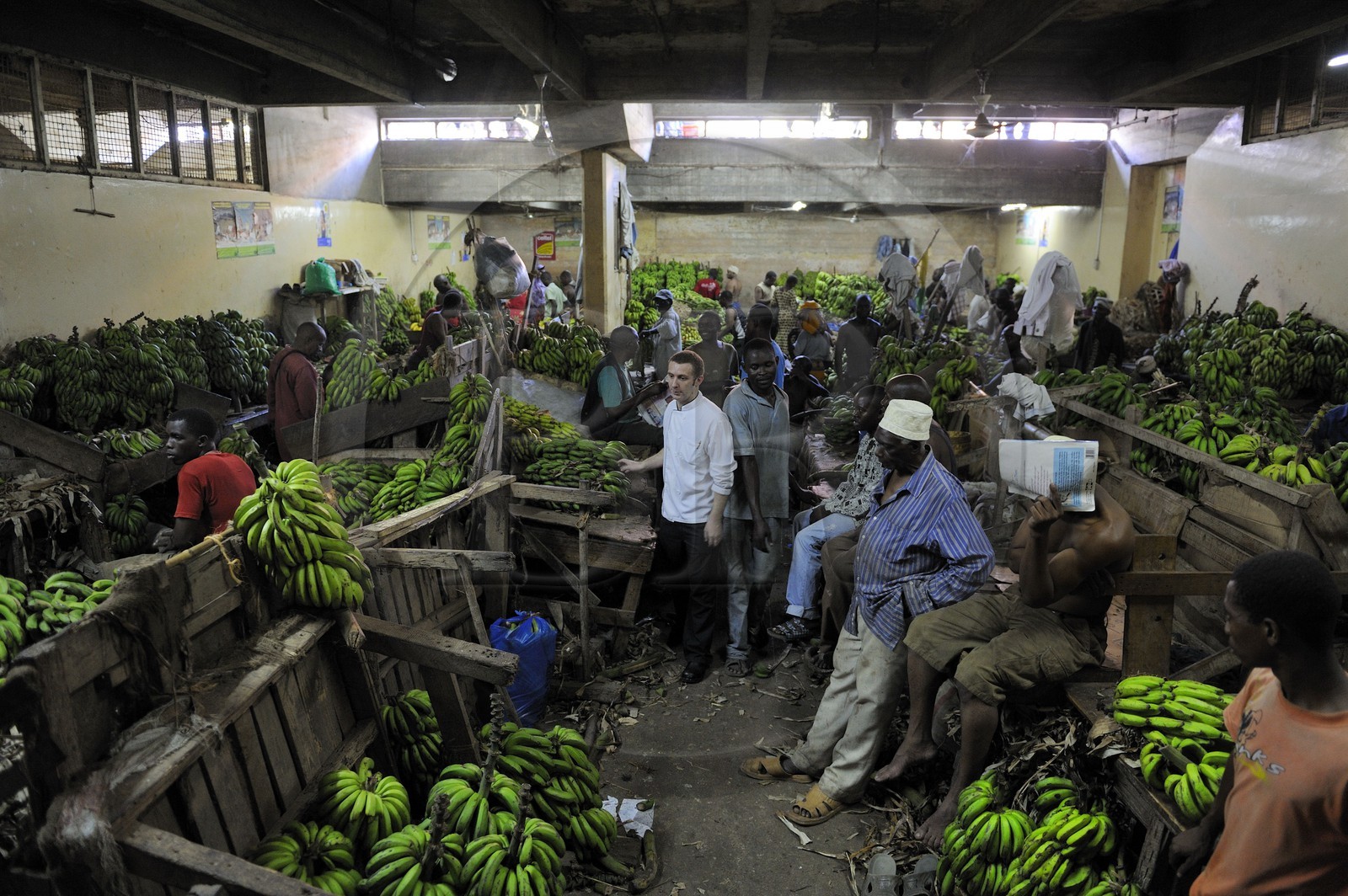 Tanzanie, Dar es-Salaam, le grand marché central de Kariakoo, Benoit Letellier le chef français de l'hôtel Mövenpick fait son marché dans la salle des bananes dans la partie basse au sous-sol
