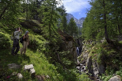 France, Alpes-Maritimes, parc national du Mercantour (Mercantour National Park), Valmasque valley,