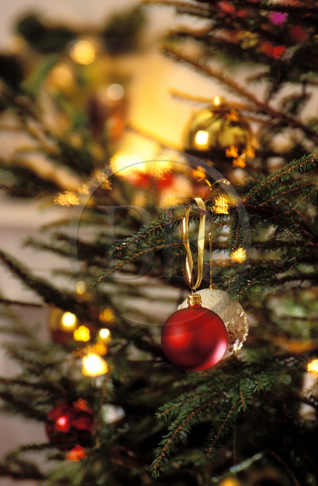 France, detail of a Christmas tree