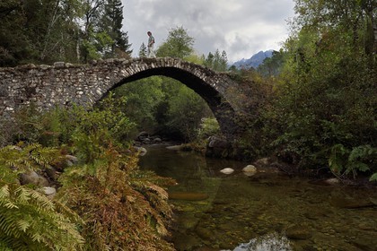 France, Corse-du-Sud (2A), Vallée du Prunelli, Bastelica, pont génois de Zippitoli