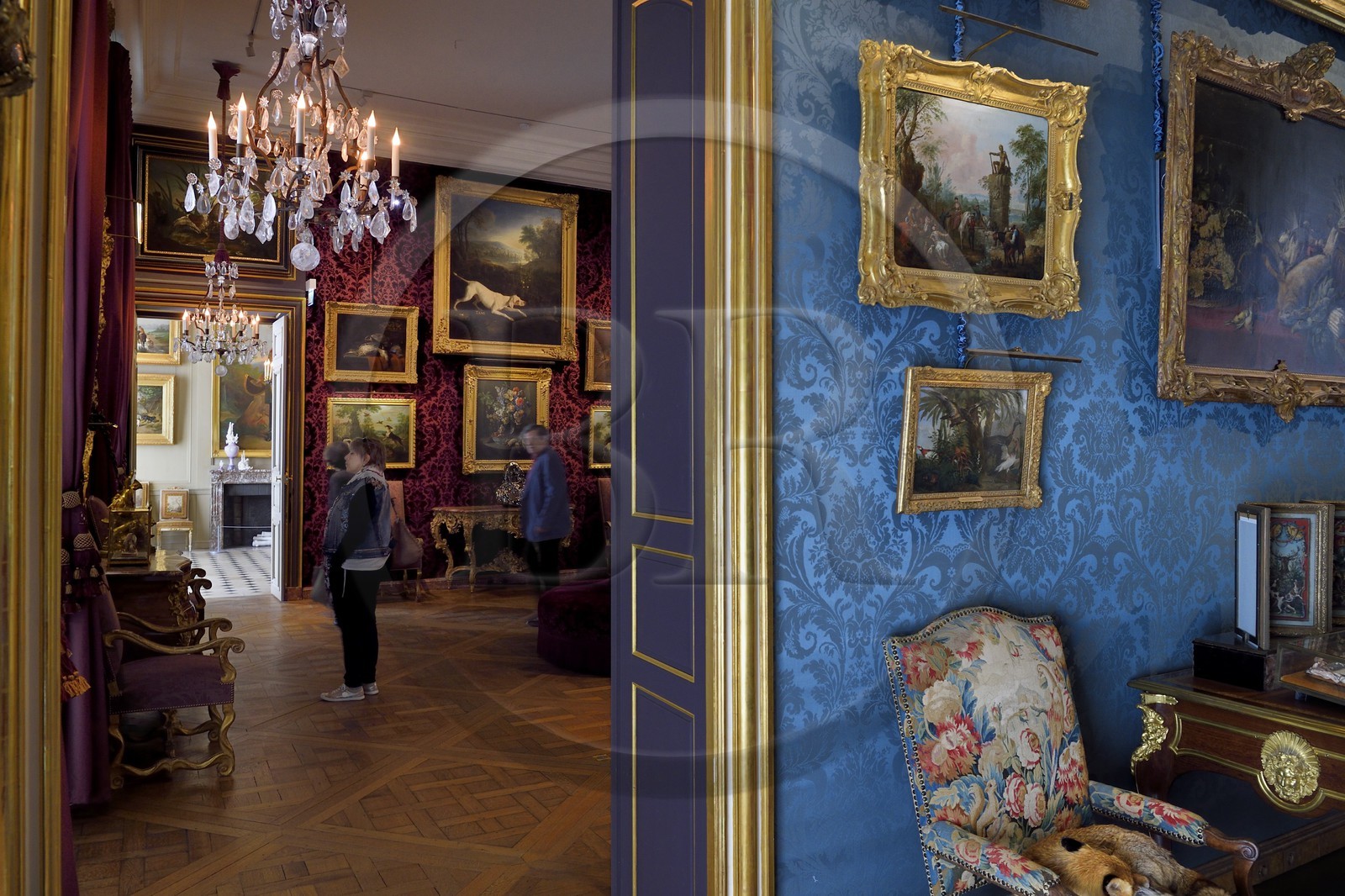 France, Paris (75), quartier du Marais, le musée de la Chasse et de la Nature dans l’hôtel de Guénégaud