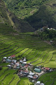 Philippines, Ifugao province, Banaue rice terraces around the village of Batad, listed as World Heritage by UNESCO, fed by an ancient irrigation system from the rainforests above the terraces